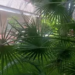 Cosy A Saint-raphael - 65 M² - Jardin Prive *