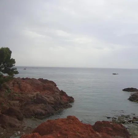 شقة Cosy A Saint-raphael - 65 M² - Jardin Prive *