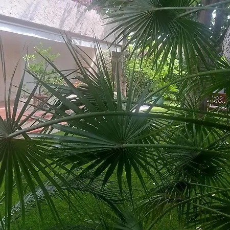 Cosy A Saint-raphael - 65 M² - Jardin Prive *
