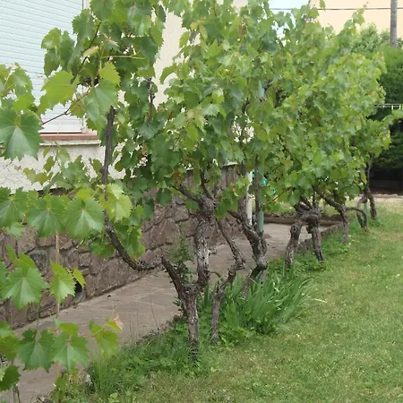 Apartamento Cosy à Saint-raphaël - 65 M² - Jardin Privé