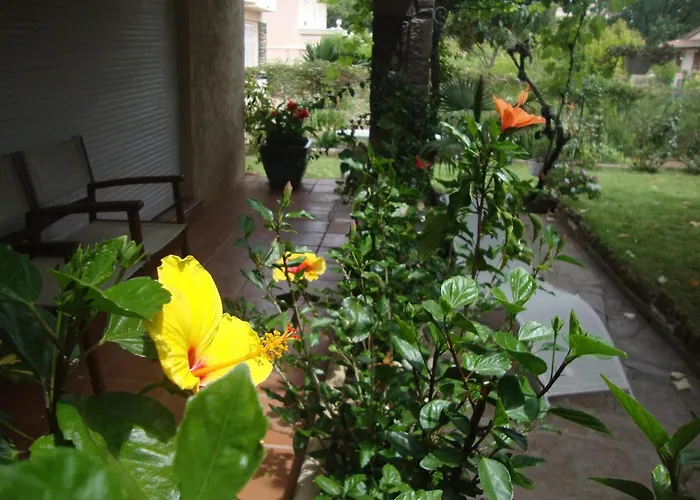 Cosy A Saint-raphael - 65 M² - Jardin Prive 公寓 *