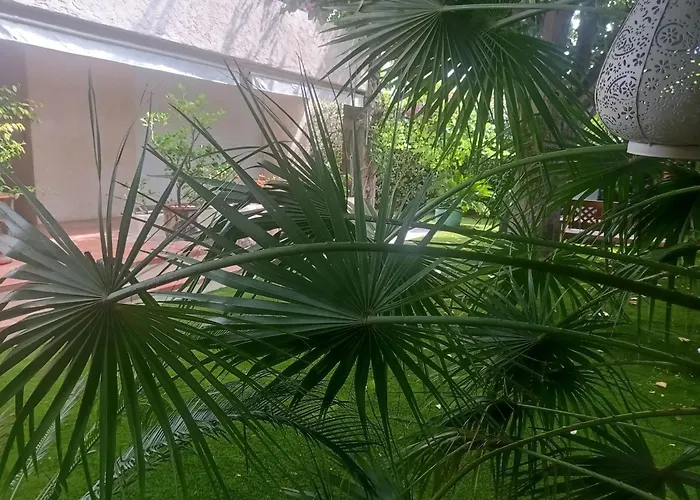 Cosy A Saint-raphael - 65 M² - Jardin Prive *