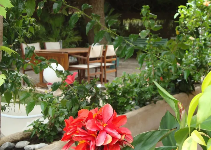 Cosy A Saint-raphael - 65 M² - Jardin Prive 公寓