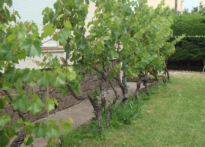 公寓 Cosy A Saint-raphael - 65 M² - Jardin Prive